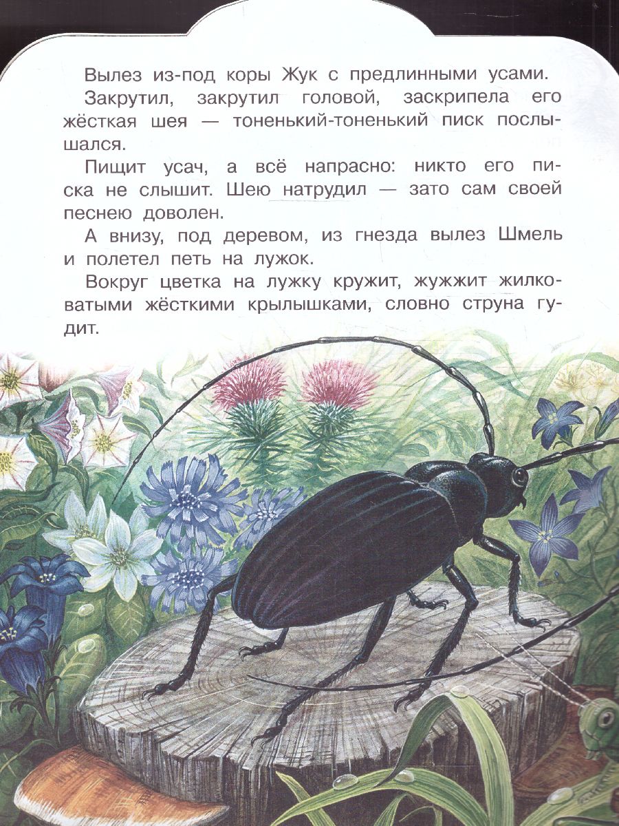 Обложка Кто чем поёт? /МалышЧитай, издательство АСТ | купить в книжном магазине Рослит