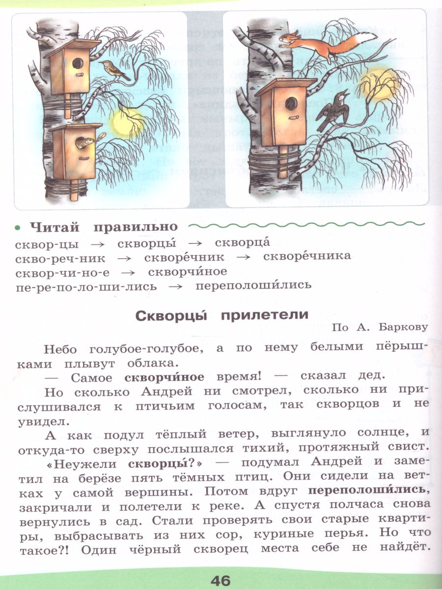 Обложка книги Чтение 4 класс. Учебник в 2-х частях. Часть 2. Для специальных (коррекционных) образовательных учреждений VIII вида, Автор Ильина С.Ю., издательство Просвещение | купить в книжном магазине Рослит