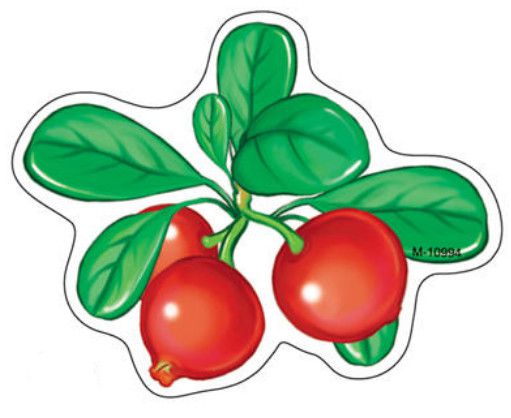 Обложка книги Вырубная фигурка Брусничка М-10994 (с УФ-лаком) (Сфера), Автор М-10994, издательство Сфера | купить в книжном магазине Рослит