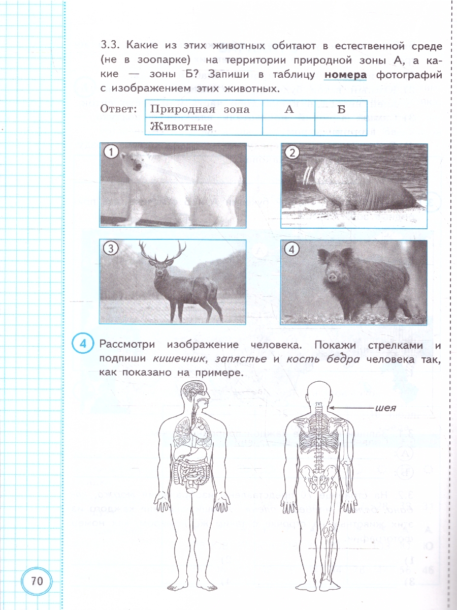 Обложка книги ВПР Окружающий мир. За курс начальной школы. Практикум. ФГОС Новый, Автор Волкова Е. В., издательство Экзамен | купить в книжном магазине Рослит