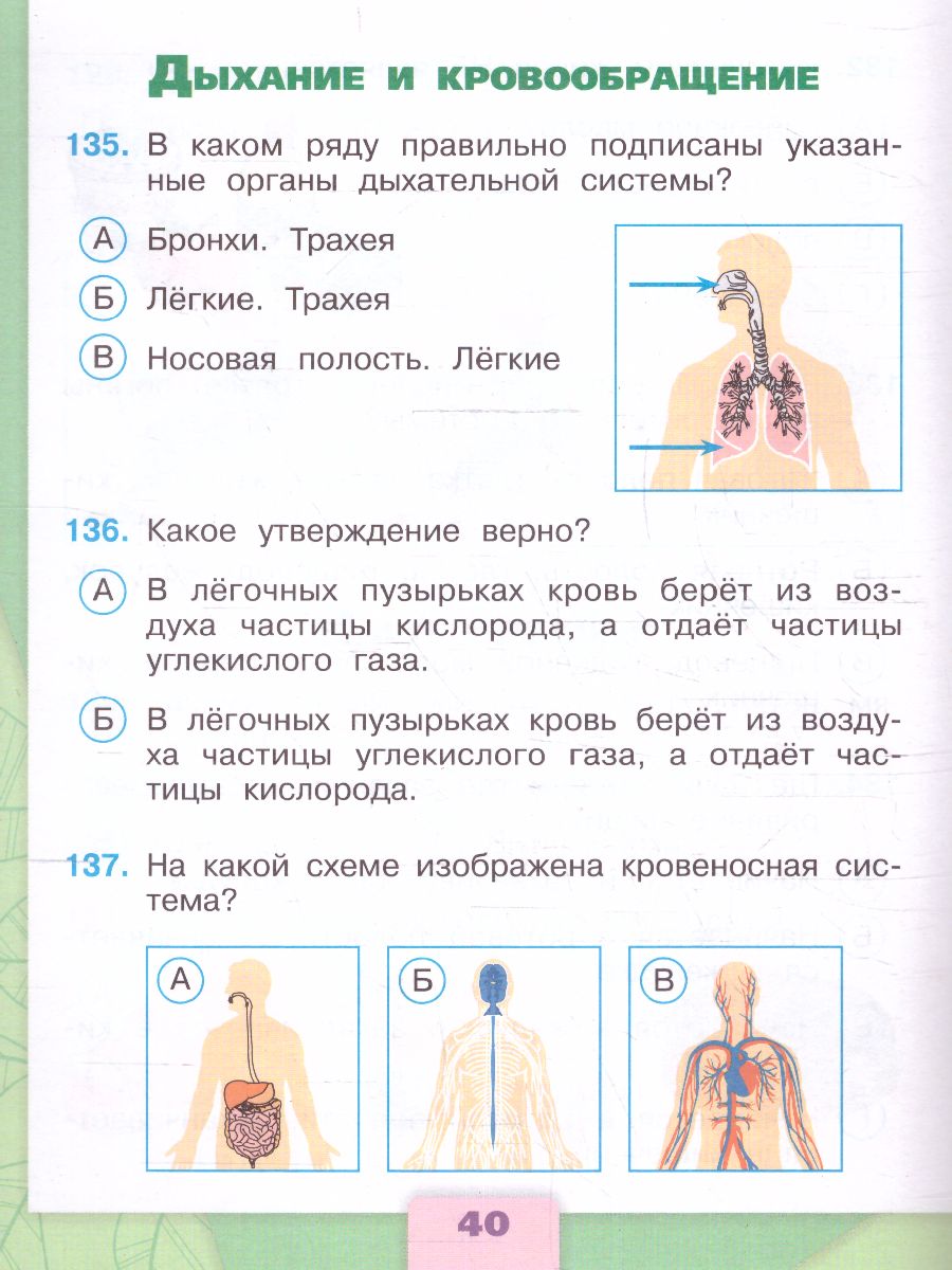 картинка Окружающий мир 3 класс. Тесты. ФГОС от магазина Рослит