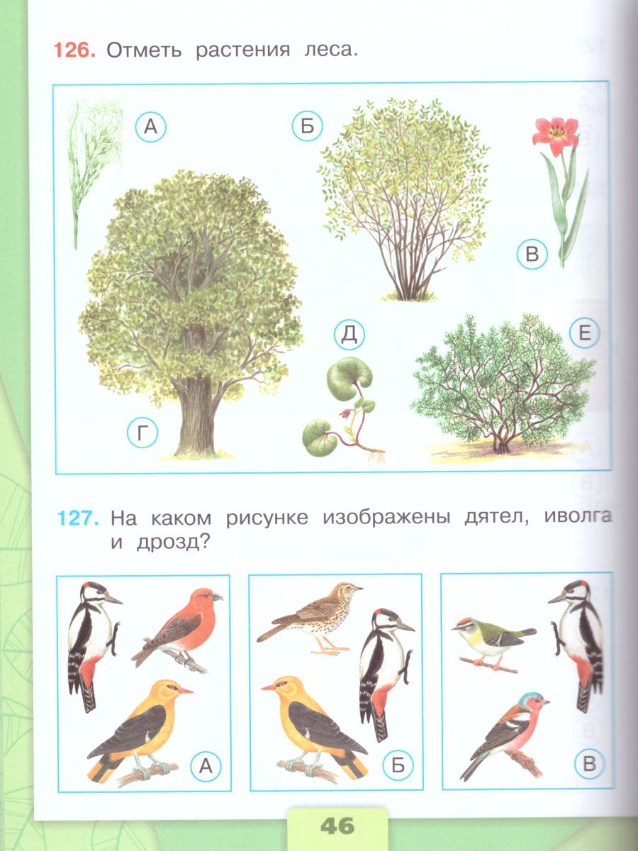 Обложка книги Окружающий мир 4 класс. Тесты. ФГОС. УМК "Школа России", Автор Плешаков А.А. Гара Н.Н. Назарова З.Д., издательство Просвещение | купить в книжном магазине Рослит