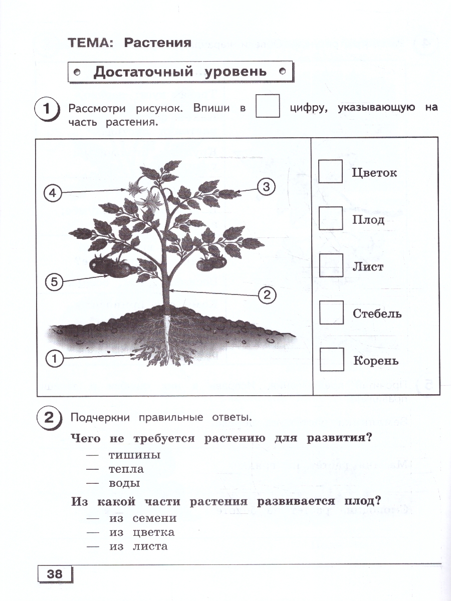 Обложка книги Мир природы и человека 3 класс. Проверочные работы. Для обучающихся с интеллектуальными нарушениями, Автор Лебедева А.В.; Карелина И.В., издательство Просвещение | купить в книжном магазине Рослит