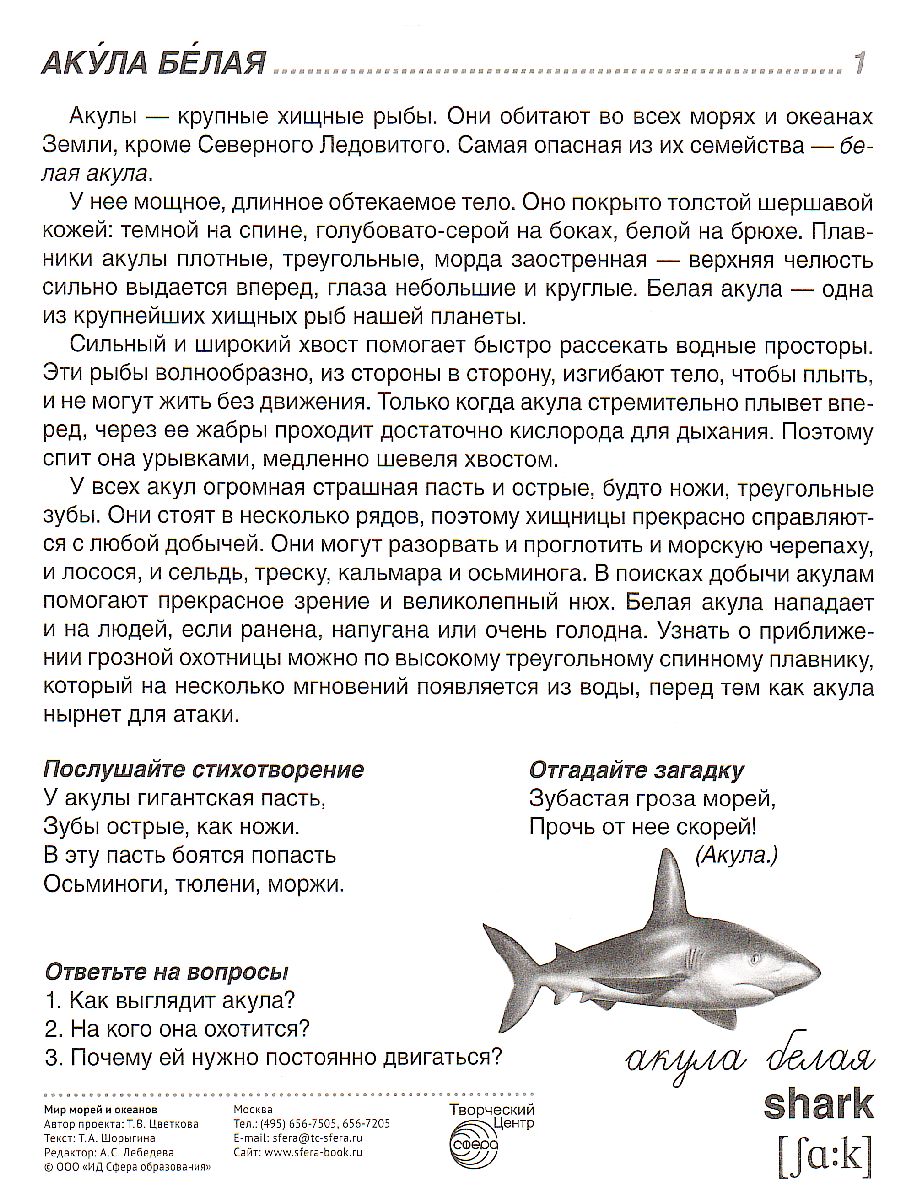Обложка книги Демонстрационные картинки СУПЕР. Мир морей и океанов. 16 демонстрационных картинок с текстом 173х220 мм, Автор , издательство Сфера | купить в книжном магазине Рослит
