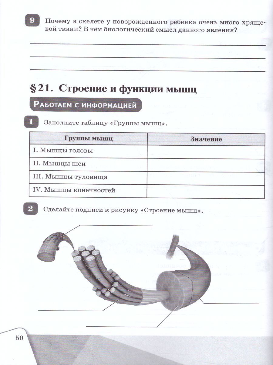 Обложка книги Биология 8 класс. Рабочая тетрадь, Автор Алексеева Е.В. Сивоглазов В.И., издательство Просвещение/Союз                                   | купить в книжном магазине Рослит