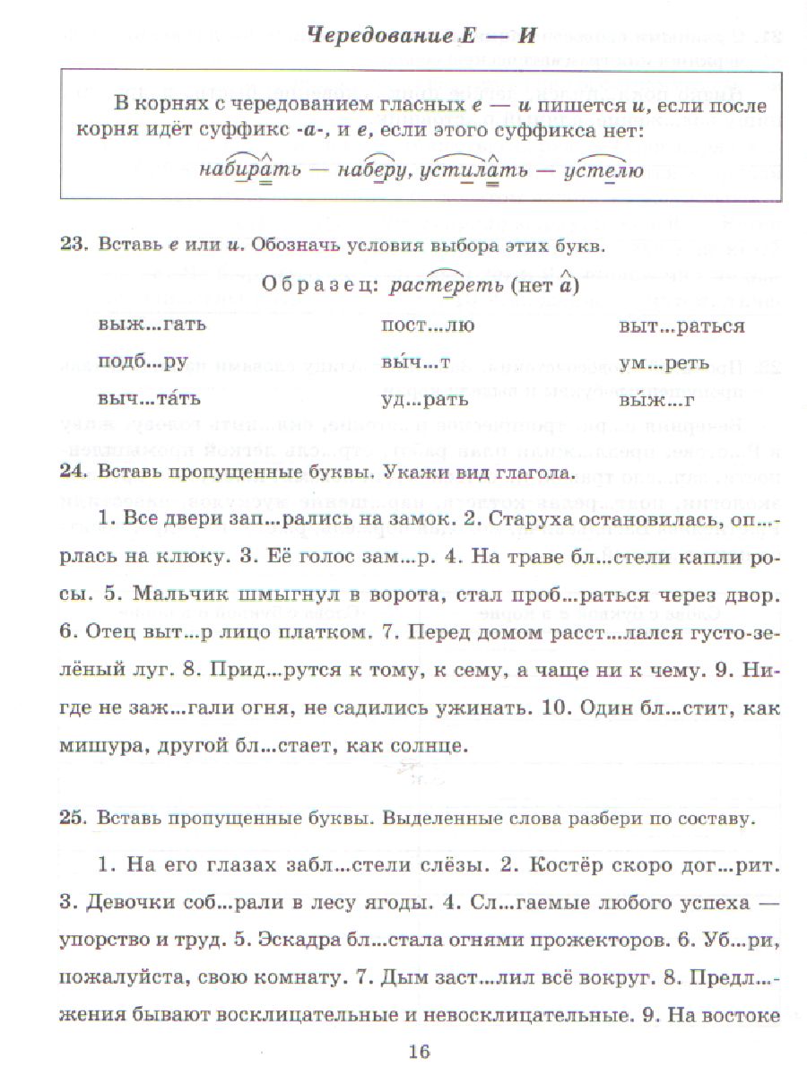 Обложка книги Все правила русского языка в тренировочных упражнениях с ответами и подсказками 5-6 классы, Автор Стронская И.М., издательство ЛИТЕРА | купить в книжном магазине Рослит