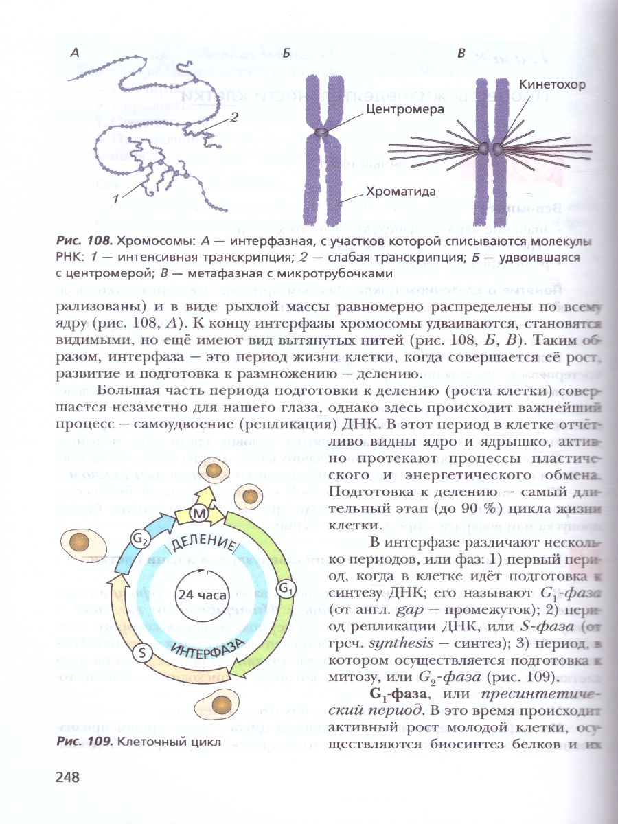 картинка Биология 11 класс. Учебное пособие . Углубленный уровень. от магазина Рослит