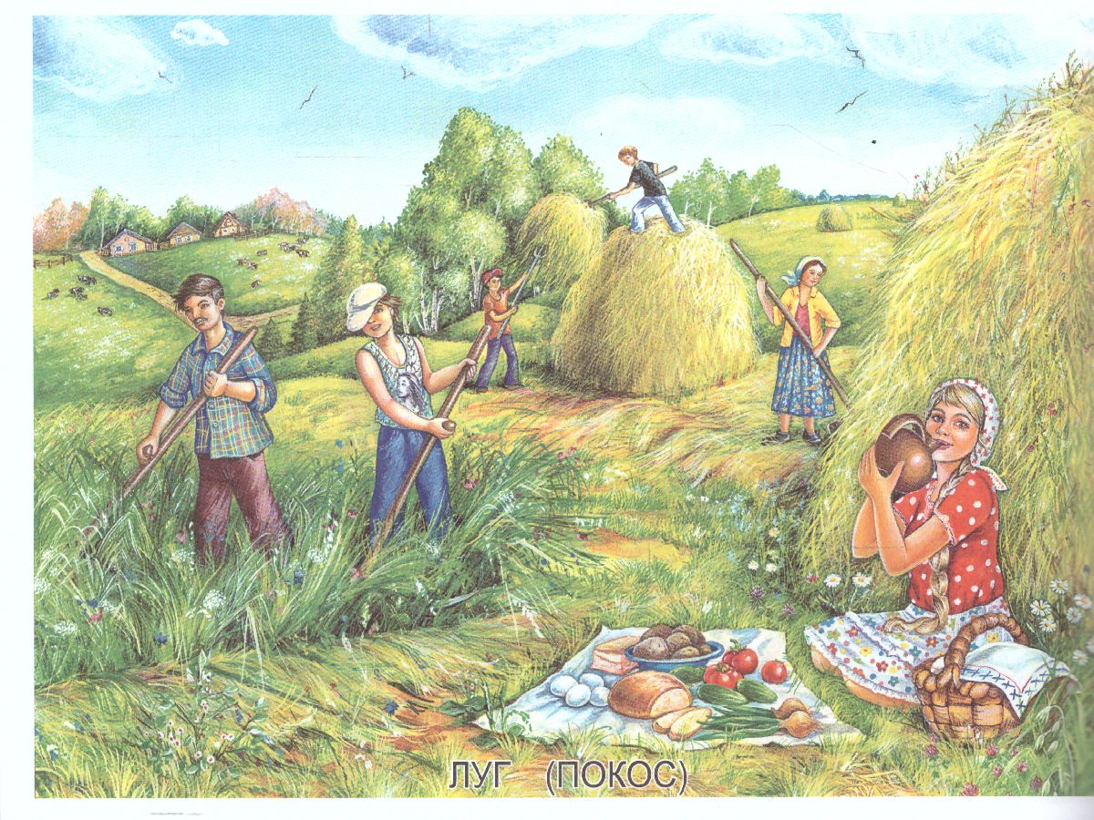 Обложка книги Раскраска "Моя деревня", Автор , издательство Страна фантазий | купить в книжном магазине Рослит