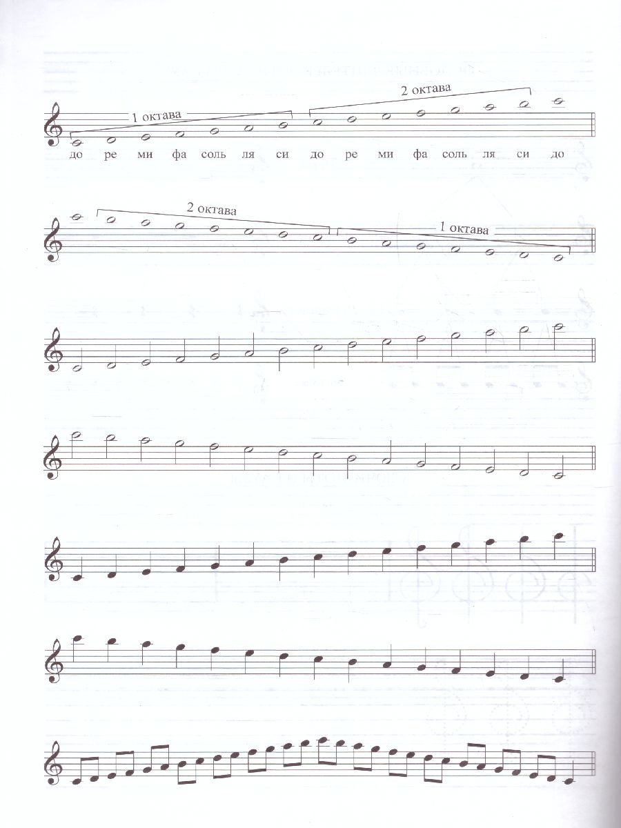 Обложка книги Тетрадь для нот: для младших классов ДМШ и ДШИ (девочка), Автор , издательство Феникс ТД                                          | купить в книжном магазине Рослит