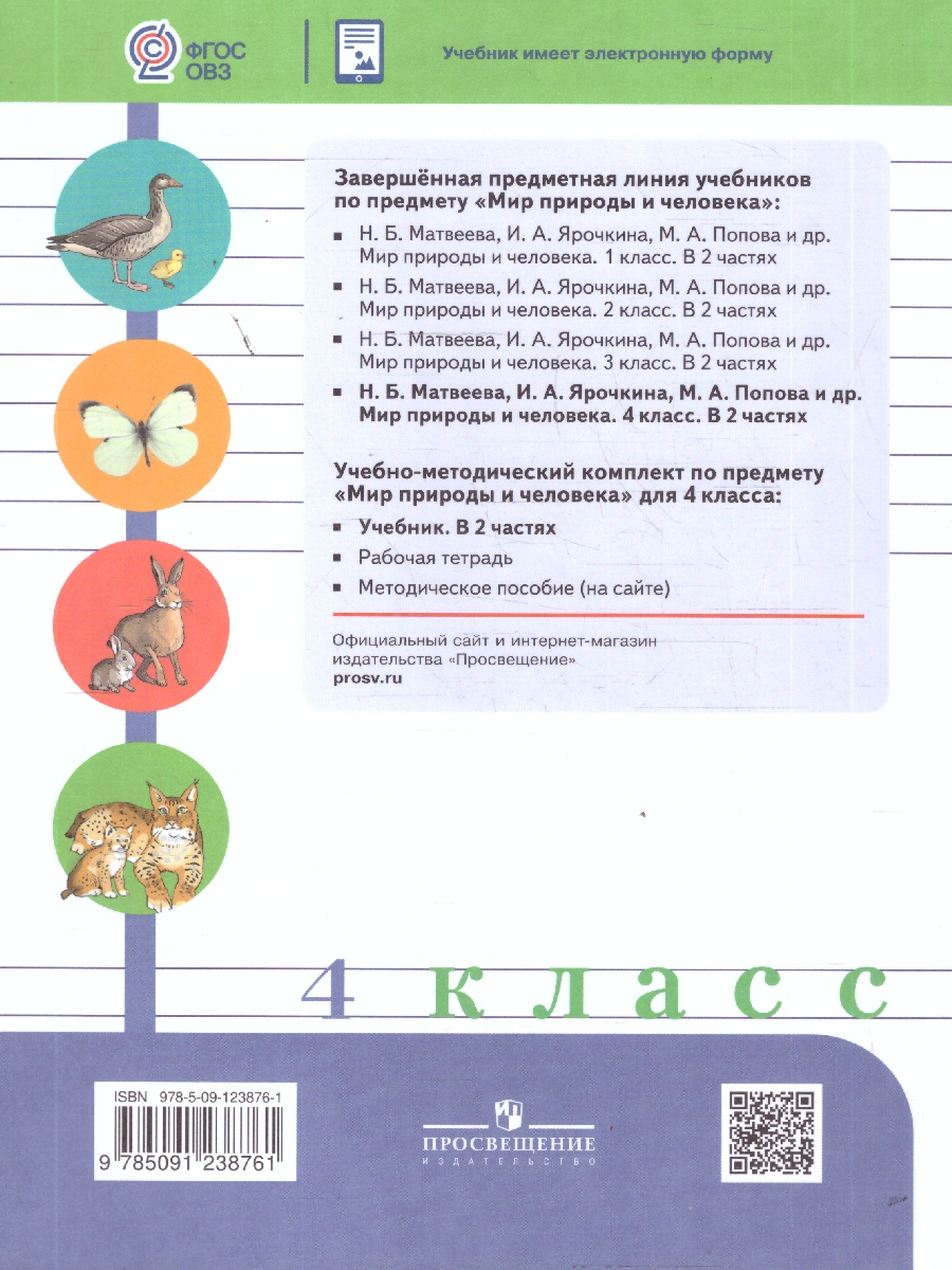 Обложка книги Мир природы и человека 4 класс. Учебник. В 2-х частях. Часть 2. ФГОС ОВЗ, Автор Матвеева Н. Б.; Ярочкина И. А.; Попова М. А., издательство Просвещение | купить в книжном магазине Рослит