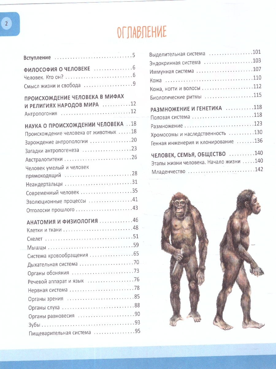 Обложка Человек. Полная энциклопедия. Все, что необходимо знать о человеке, издательство ЭКСМО | купить в книжном магазине Рослит