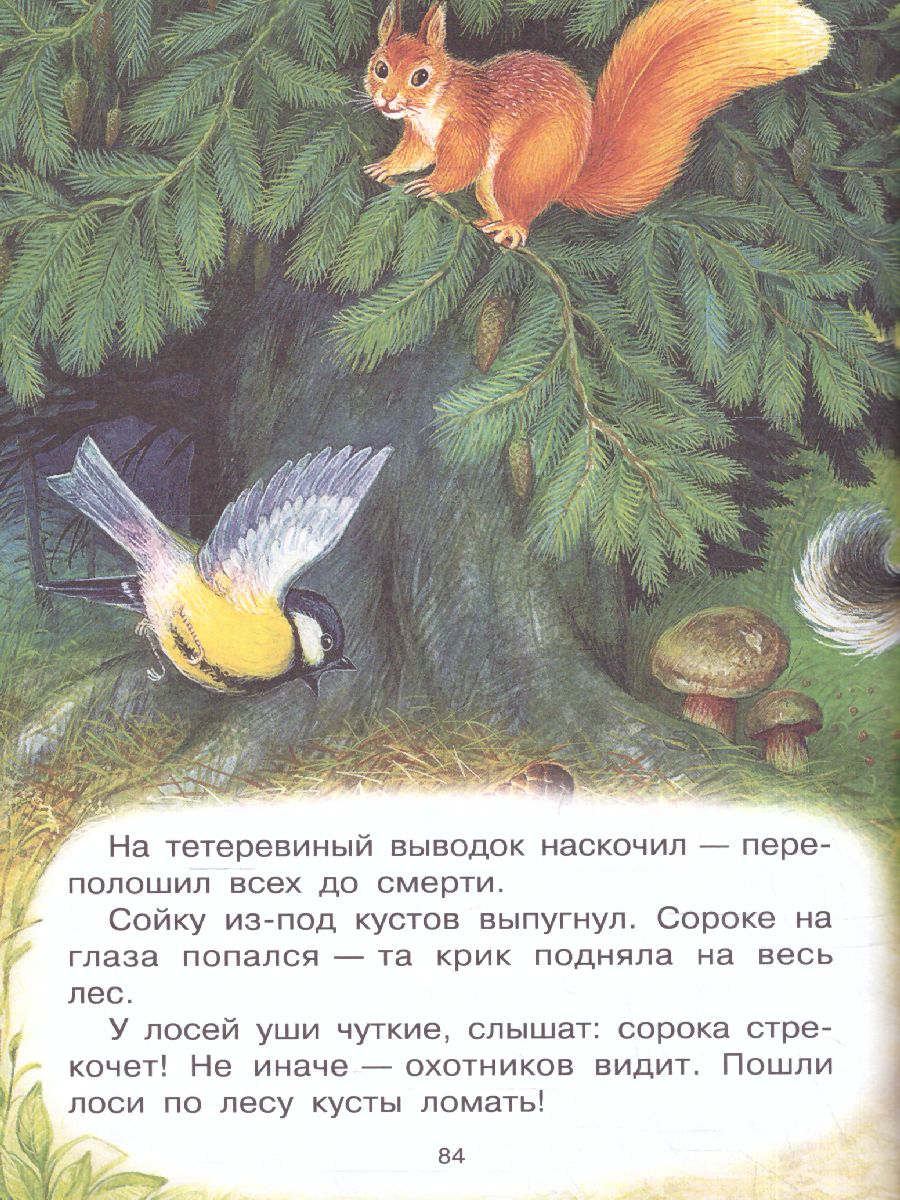 Обложка Сказки. Сладков Н.И. /Всё самое лучшее у автора, издательство АСТ | купить в книжном магазине Рослит