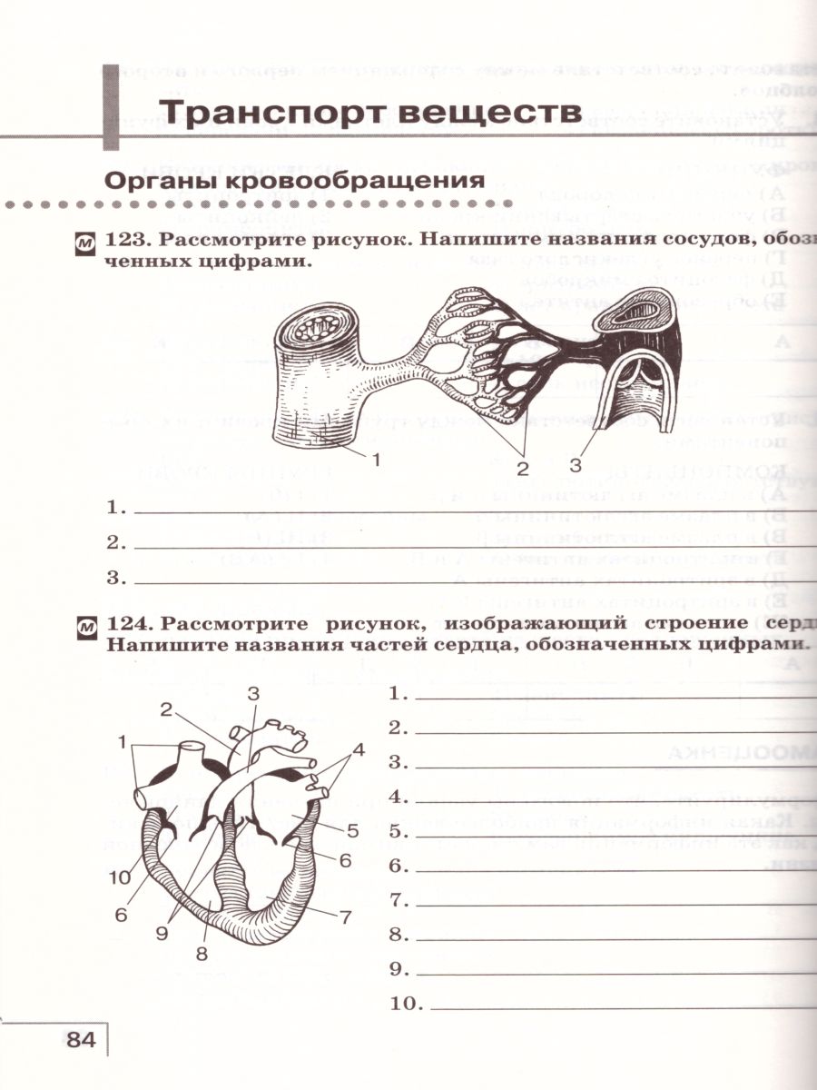 Обложка книги Биология 9 класс. Рабочая тетрадь. Вертикаль. ФГОС, Автор Сонин Н.И. Агафонова И.Б., издательство Просвещение | купить в книжном магазине Рослит