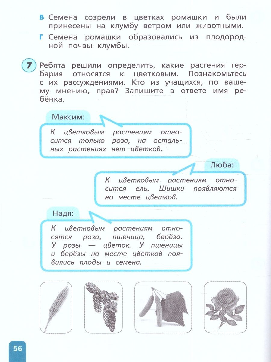 Обложка книги Естественно-научная грамотность 3 класс. Окружающий мир. Развитие. Диагностика, Автор Тимофеева Л.Л, издательство Просвещение | купить в книжном магазине Рослит