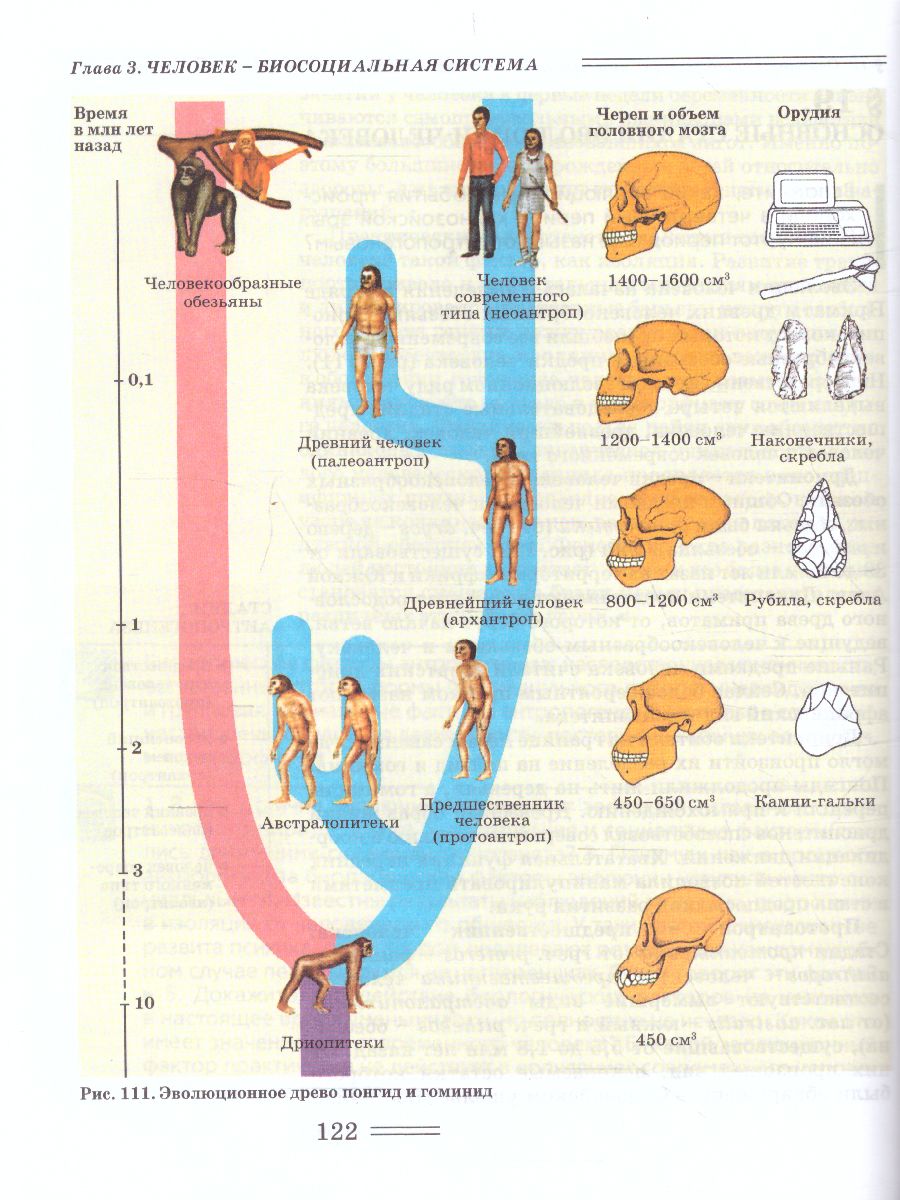 Обложка книги Биология 11 класс. Биологические системы и процессы (углубленный / базовый уровни), Автор Теремов А.В. Петросова Р.А., издательство Владос | купить в книжном магазине Рослит
