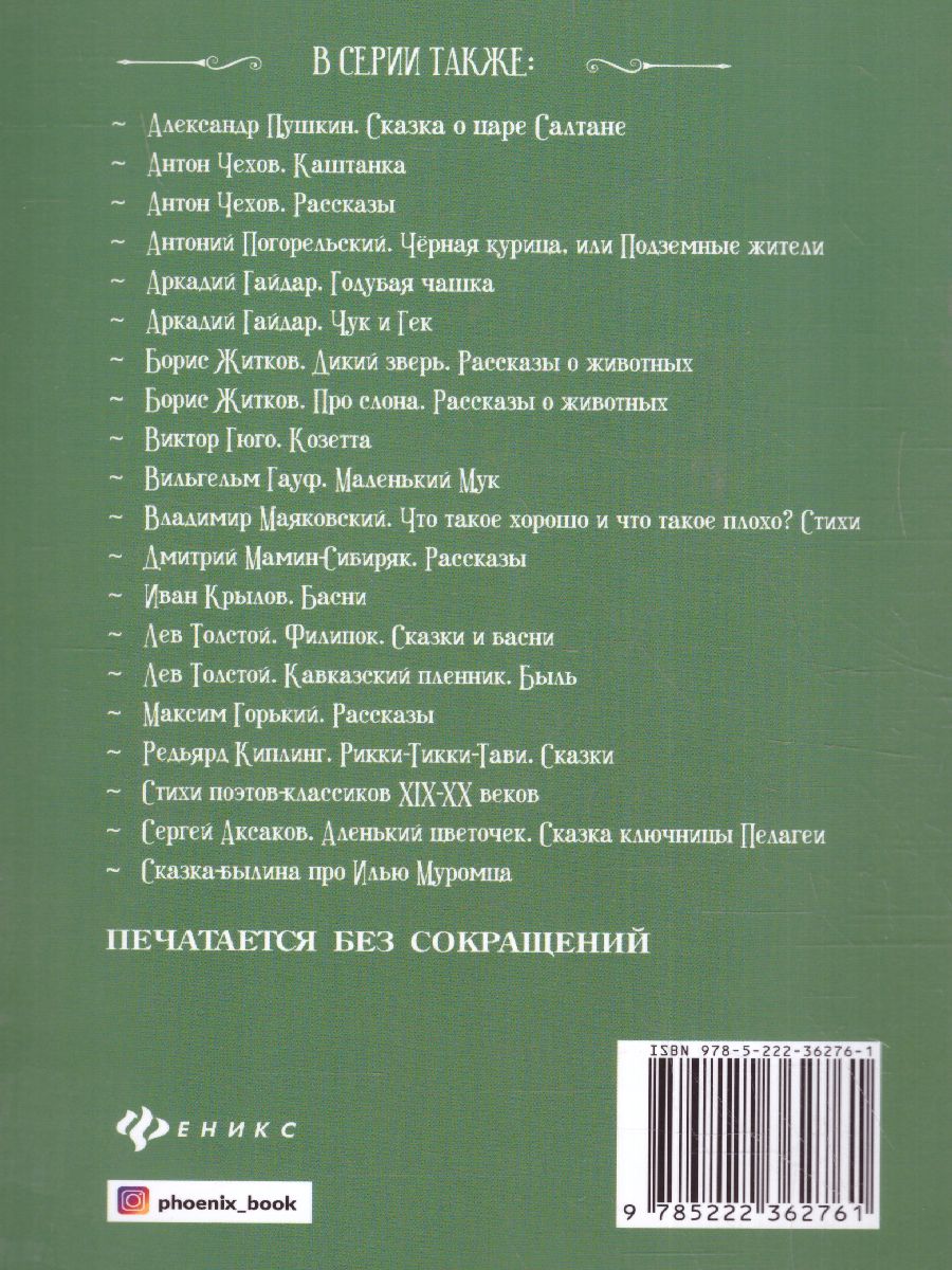 Обложка книги Городок в табакерке Рассказы, Автор Одоевский В.Ф., издательство Феникс ТД                                          | купить в книжном магазине Рослит