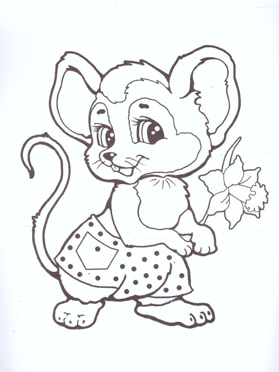 Обложка книги Мои любимцы/Любимая раскраска девочек А5, Автор , издательство Интерпрессервис | купить в книжном магазине Рослит