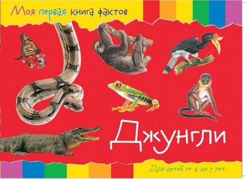 Обложка Моя первая книга фактов Джунгли Развивающая книга, издательство НД Плэй                                            | купить в книжном магазине Рослит