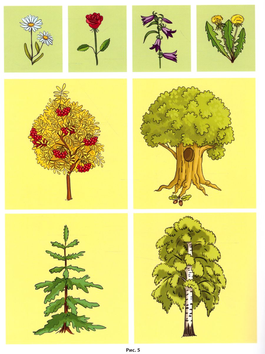 Обложка книги Диагностический инструментарий по программе Детство. Вторая младшая группа 2-3 года. ФГОС, Автор Ивашкова О.В., издательство ДЕТСТВО-ПРЕСС | купить в книжном магазине Рослит