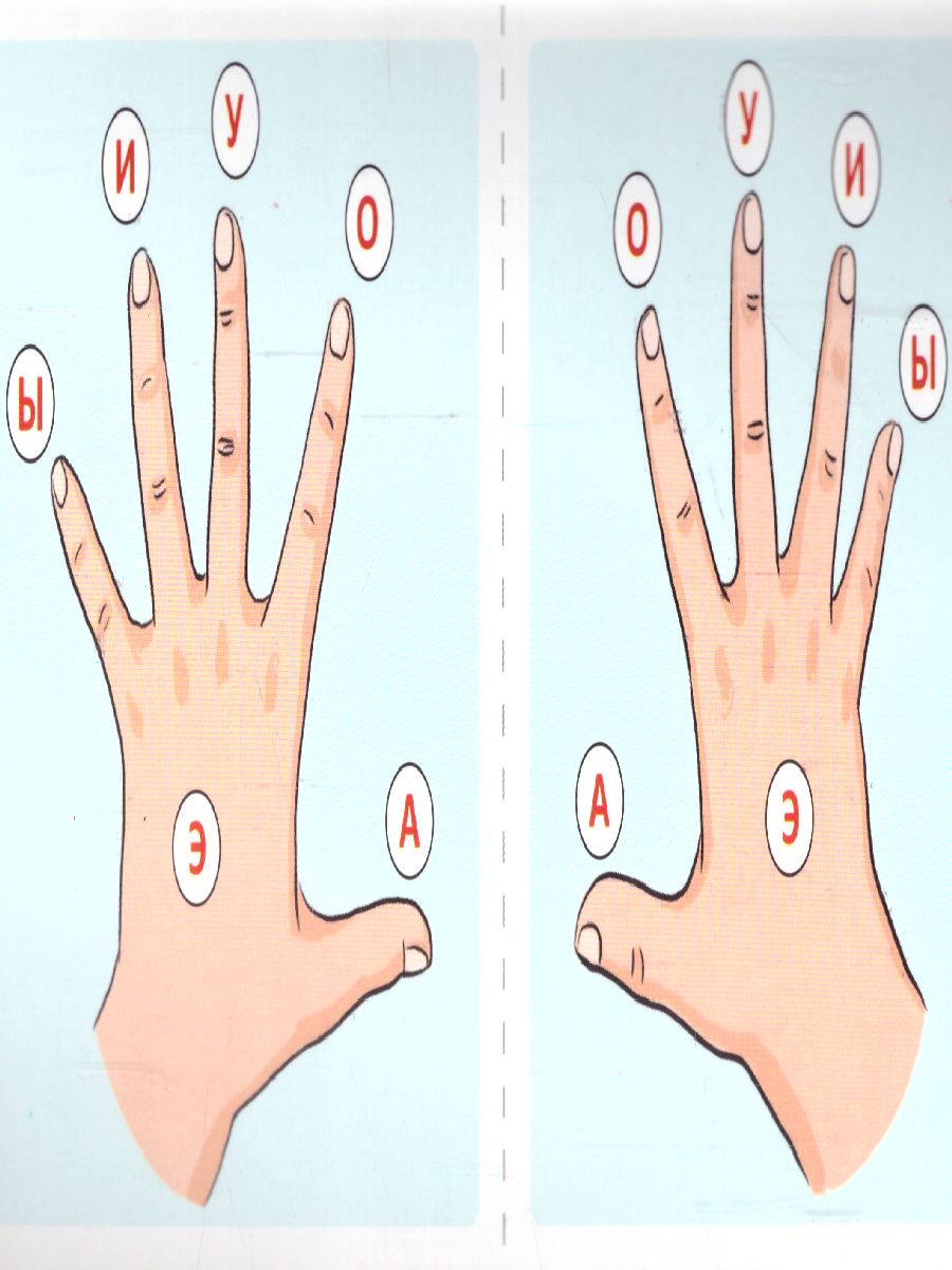 Обложка книги Набор карточек с рисунками. Речевой конструктор: Звуки на ладошках (Сфера), Автор Танцюра С.Ю., издательство Сфера | купить в книжном магазине Рослит