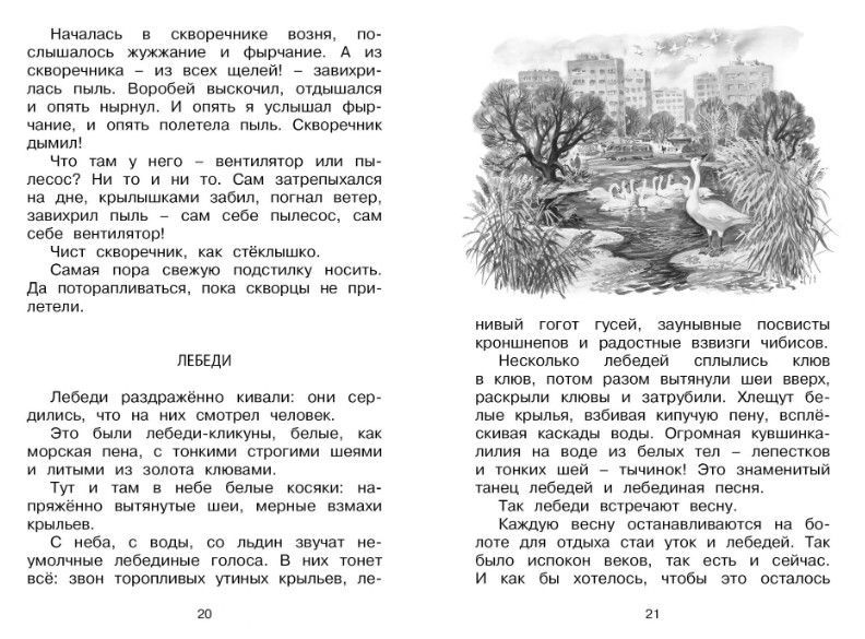 Обложка Лесные тайнички. Чтение - лучшее учение, издательство Махаон | купить в книжном магазине Рослит