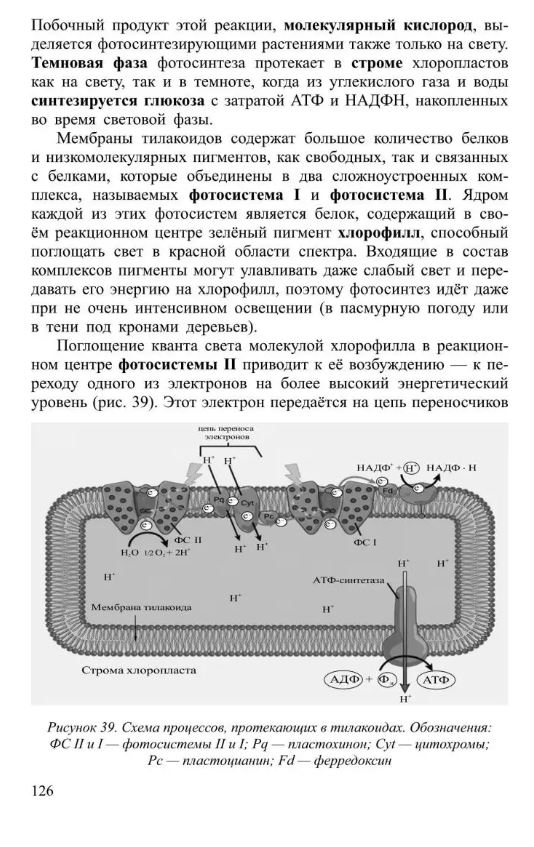 Обложка книги Общая биология Часть I. Основы цитологии. Размножение и развитие. Основы генетики, Автор Белякова, издательство Илекса | купить в книжном магазине Рослит