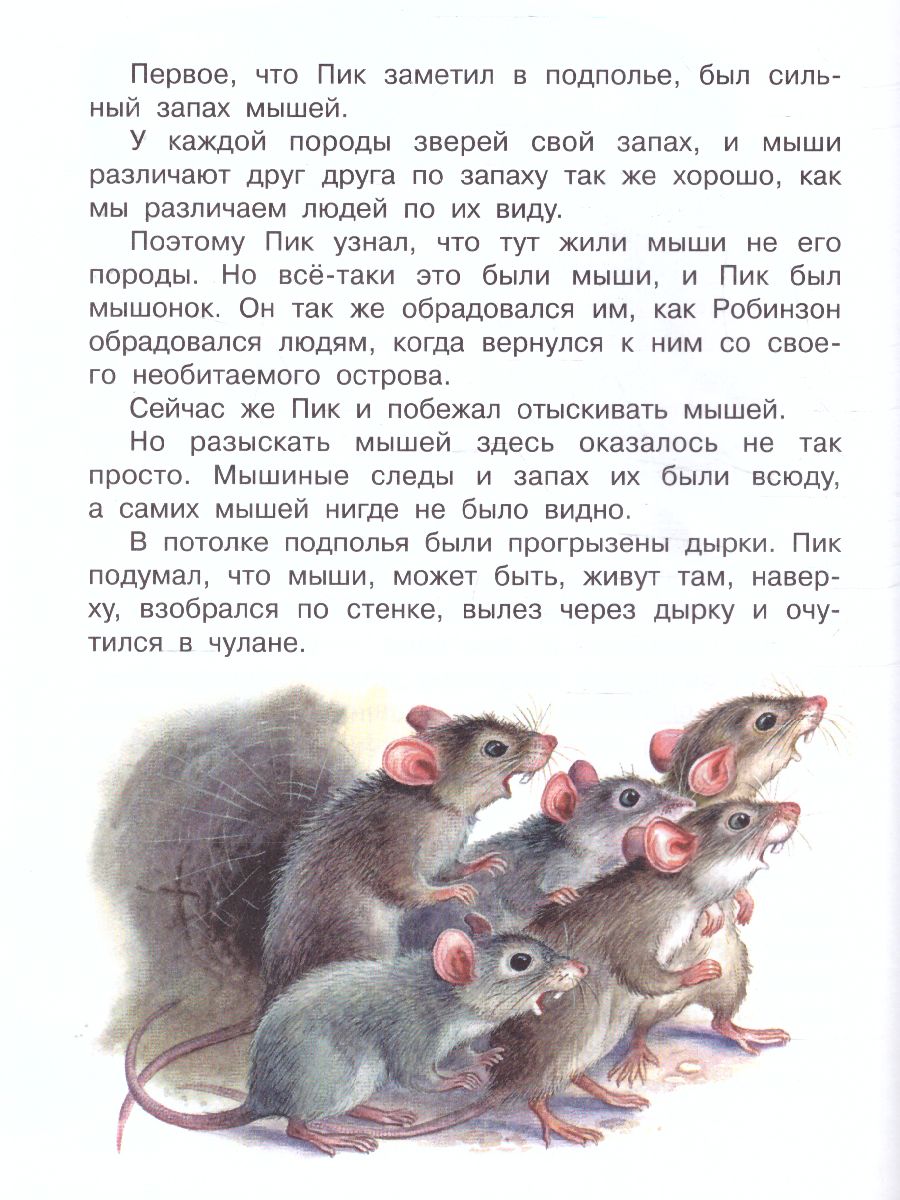 Обложка Мышонок Пик / ПервКнижки(о животных), издательство АСТ | купить в книжном магазине Рослит