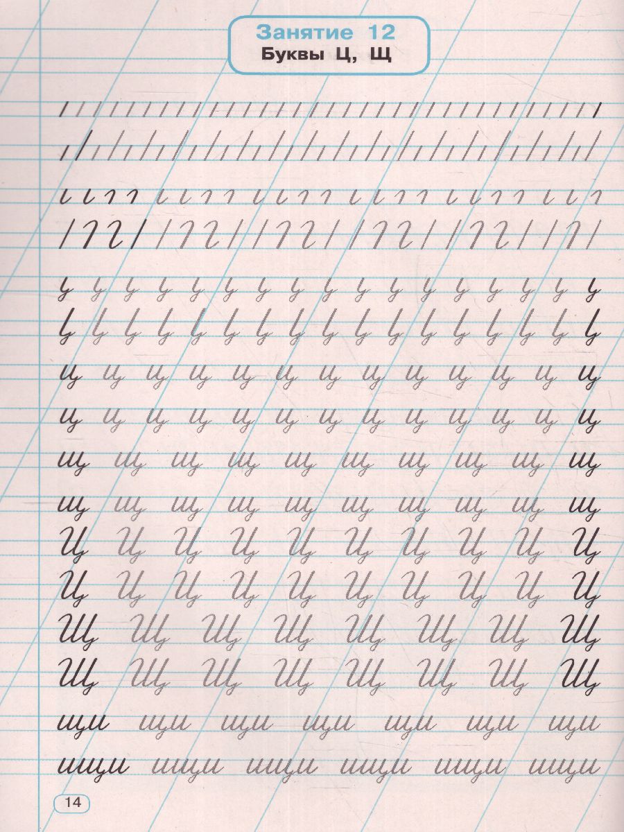 Обложка книги Тренажер по чистописанию 1 класс. Учимся писать всего за 30 занятий. От азов до каллиграфического письма, Автор Узорова О.В. Нефёдова Е.А., издательство АСТ | купить в книжном магазине Рослит