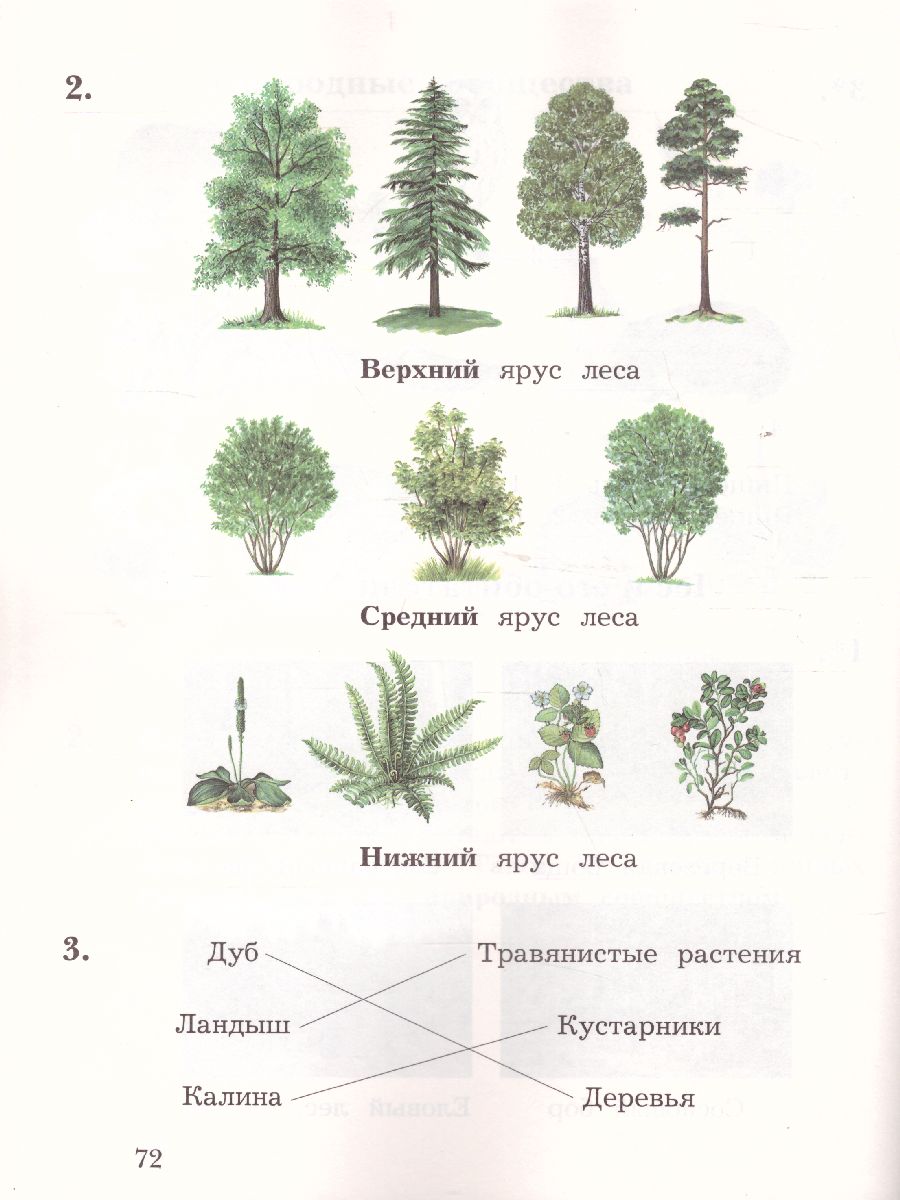 Обложка книги Окружающий мир 2 класс. Тетрадь для проверочных работ № 2. ФГОС, Автор Виноградова Н.Ф., издательство Просвещение | купить в книжном магазине Рослит