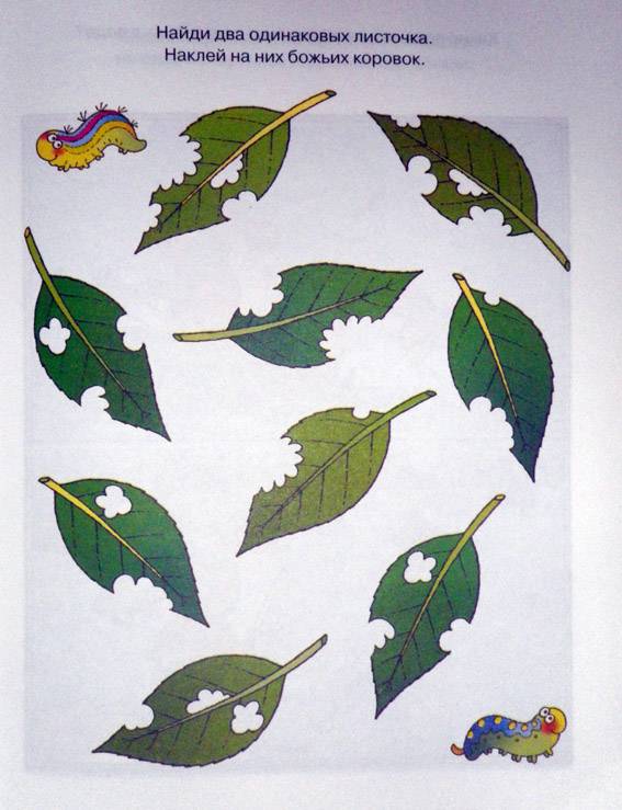 Обложка Развиваем внимание (5-6 лет) / Дошкольная мозаика, издательство Махаон | купить в книжном магазине Рослит