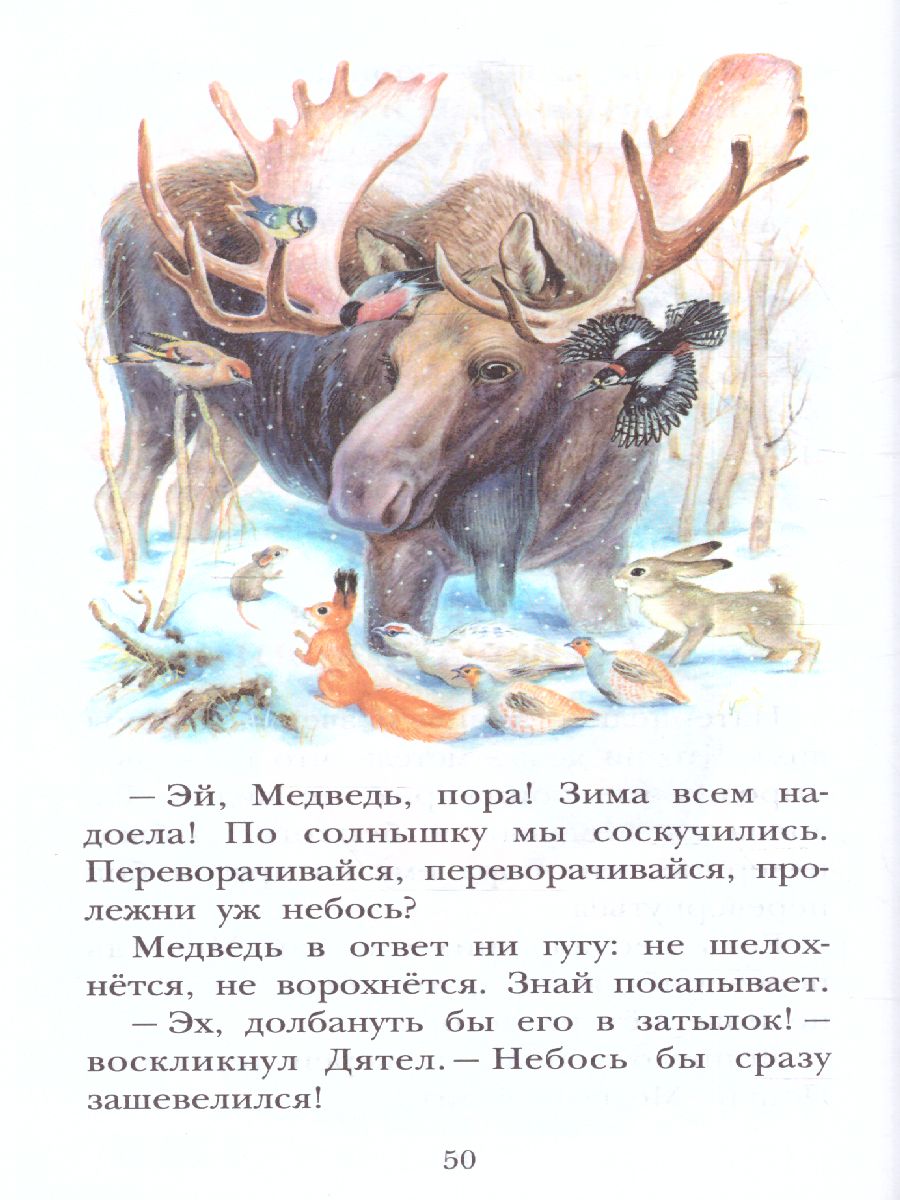 Обложка книги Сладков Н.И. Лесные сказки /Детское чтение, Автор Сладков Н.И., издательство АСТ | купить в книжном магазине Рослит