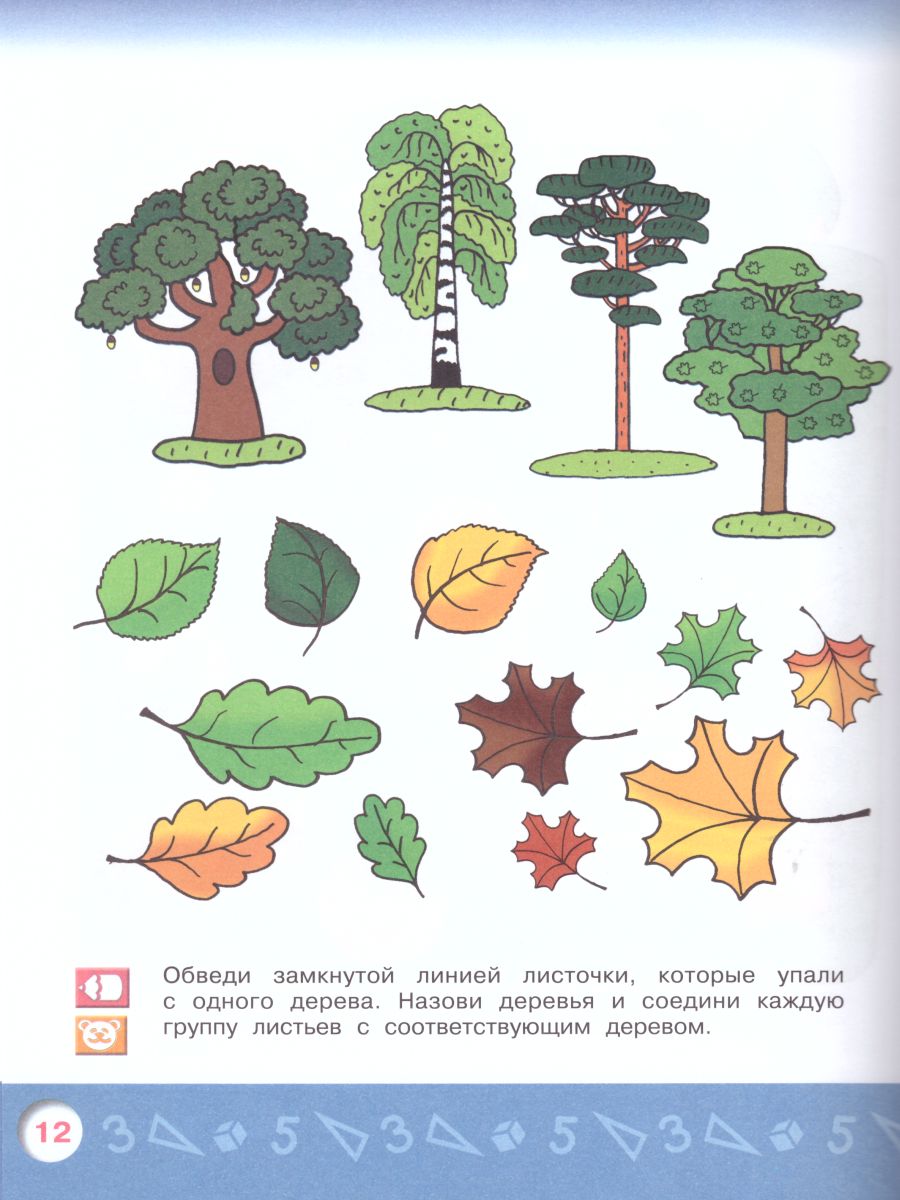 Обложка книги Моя Математика. Развивающая книга для детей 6-8 лет + наклейки, Автор Соловьёва Е.В., издательство Просвещение/Союз                                   | купить в книжном магазине Рослит