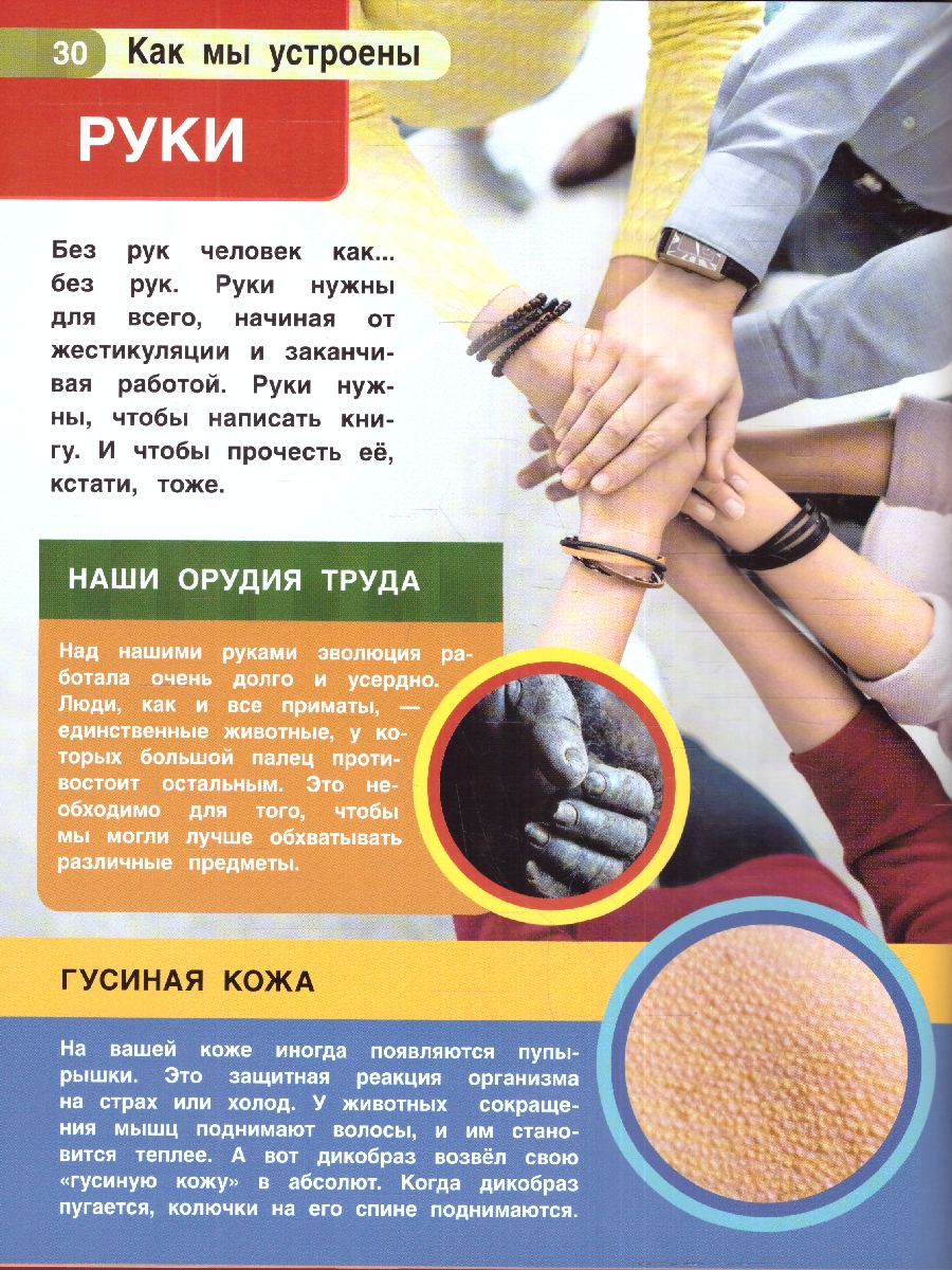 Обложка книги Энциклопедия.Тело человека. Как мы устроены. (А4 197х255мм) 48 стр.(Умка), Автор Рыклин М. А., издательство Умка                                               | купить в книжном магазине Рослит