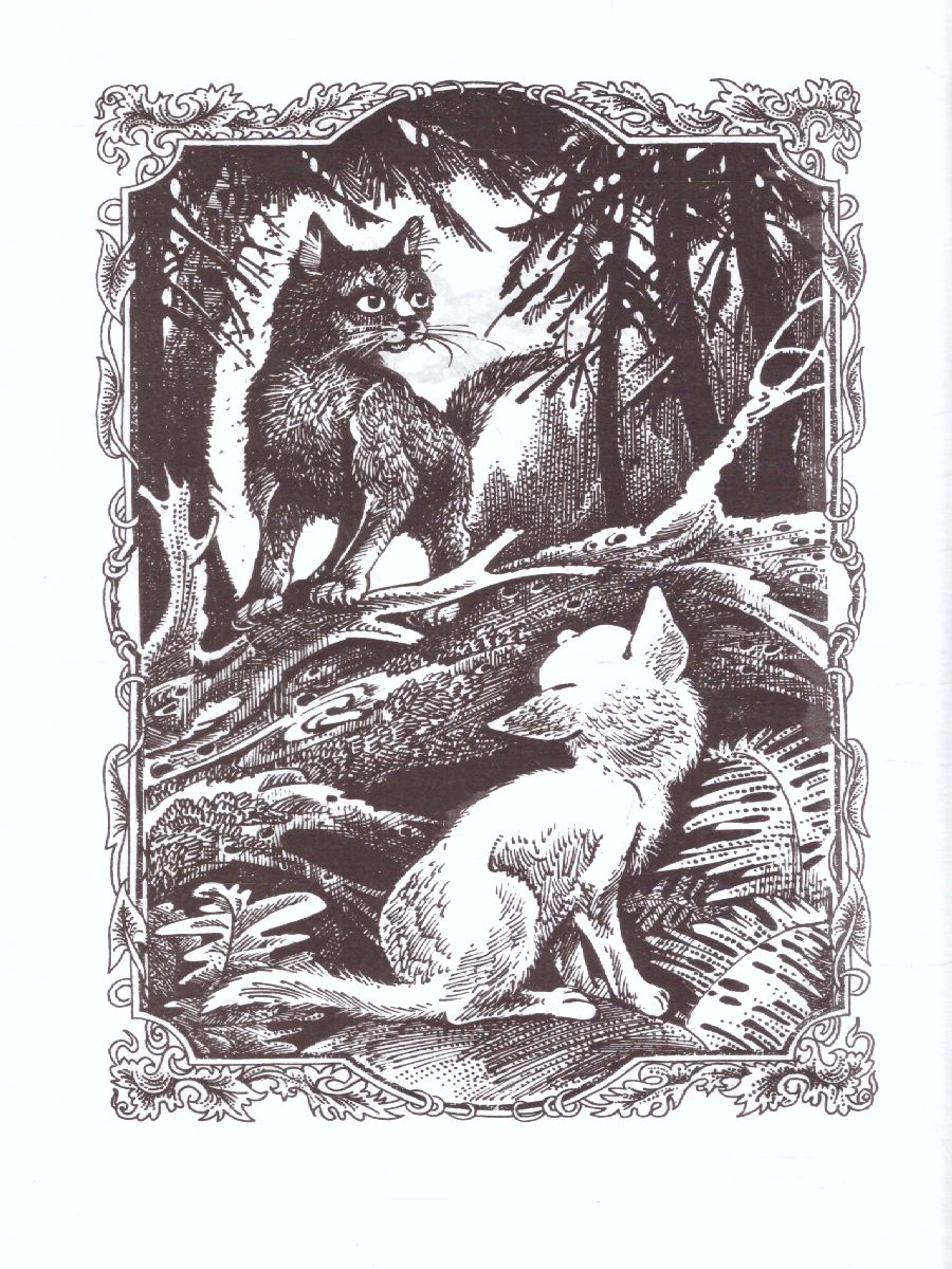 Обложка Коты-воители. Пророчество Синей Звезды. Начало, издательство Просвещение/Союз                                   | купить в книжном магазине Рослит