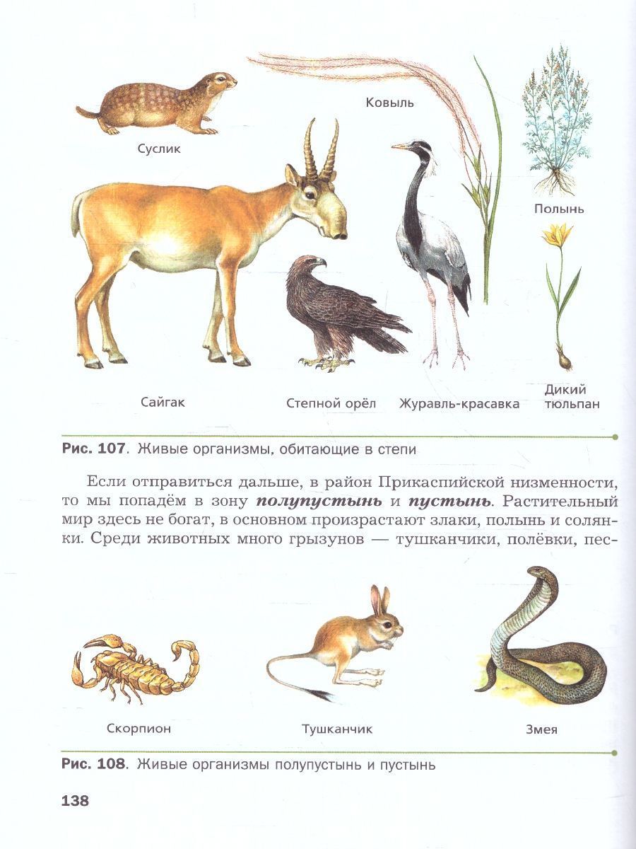 Обложка книги Биология 5 класс. Базовый уровень. Учебное пособие. ФГОС, Автор Пономарева И.Н. Николаев И.В. Корнилова О.А., издательство Просвещение | купить в книжном магазине Рослит