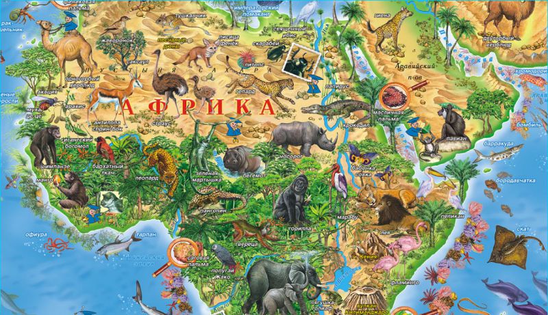 Обложка книги Карта "Животный и растительный мир Земли", Автор , издательство Маленький гений-Пресс | купить в книжном магазине Рослит