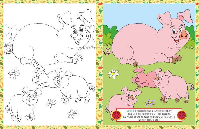 Обложка книги Раскраска детская. Домашние животные, Автор , издательство РУЗ Ко | купить в книжном магазине Рослит