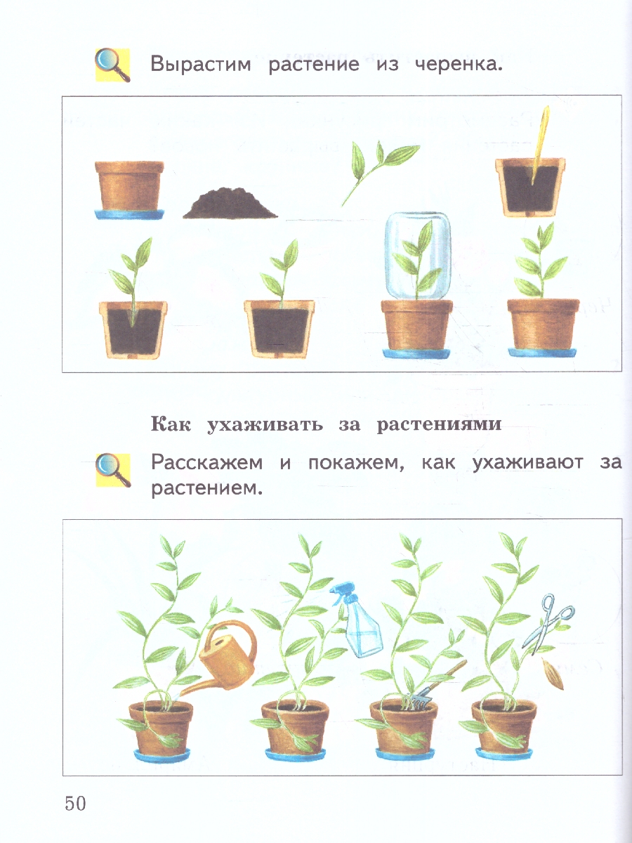 Обложка книги Окружающий мир 1 класс. Учебное пособие в 2-х частях. Часть 2, Автор Плешаков А.А. Новицкая М.Ю., издательство Просвещение | купить в книжном магазине Рослит