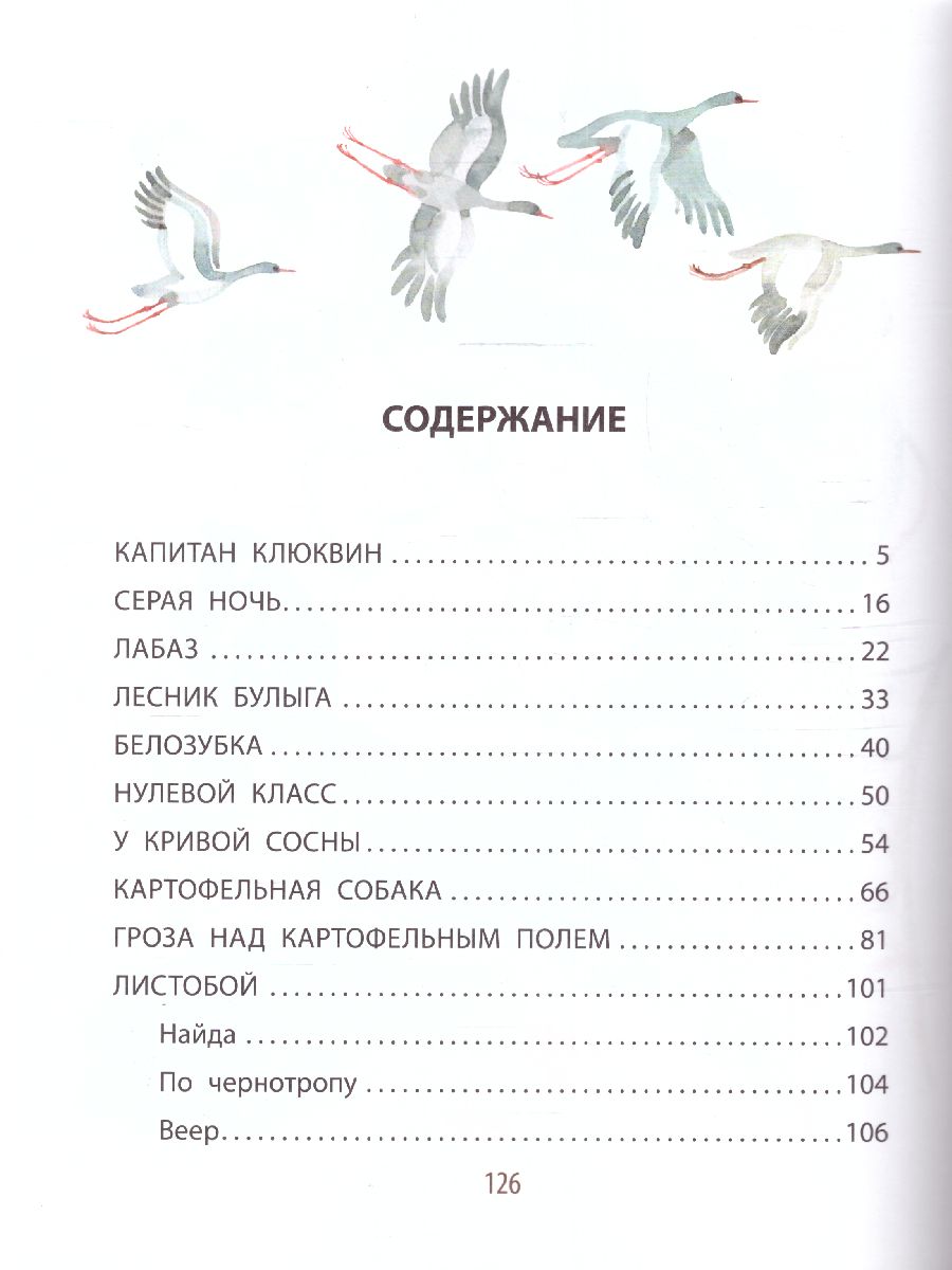 Обложка Листобой. Рассказы /ДетИллюстрКлассика, издательство АСТ | купить в книжном магазине Рослит