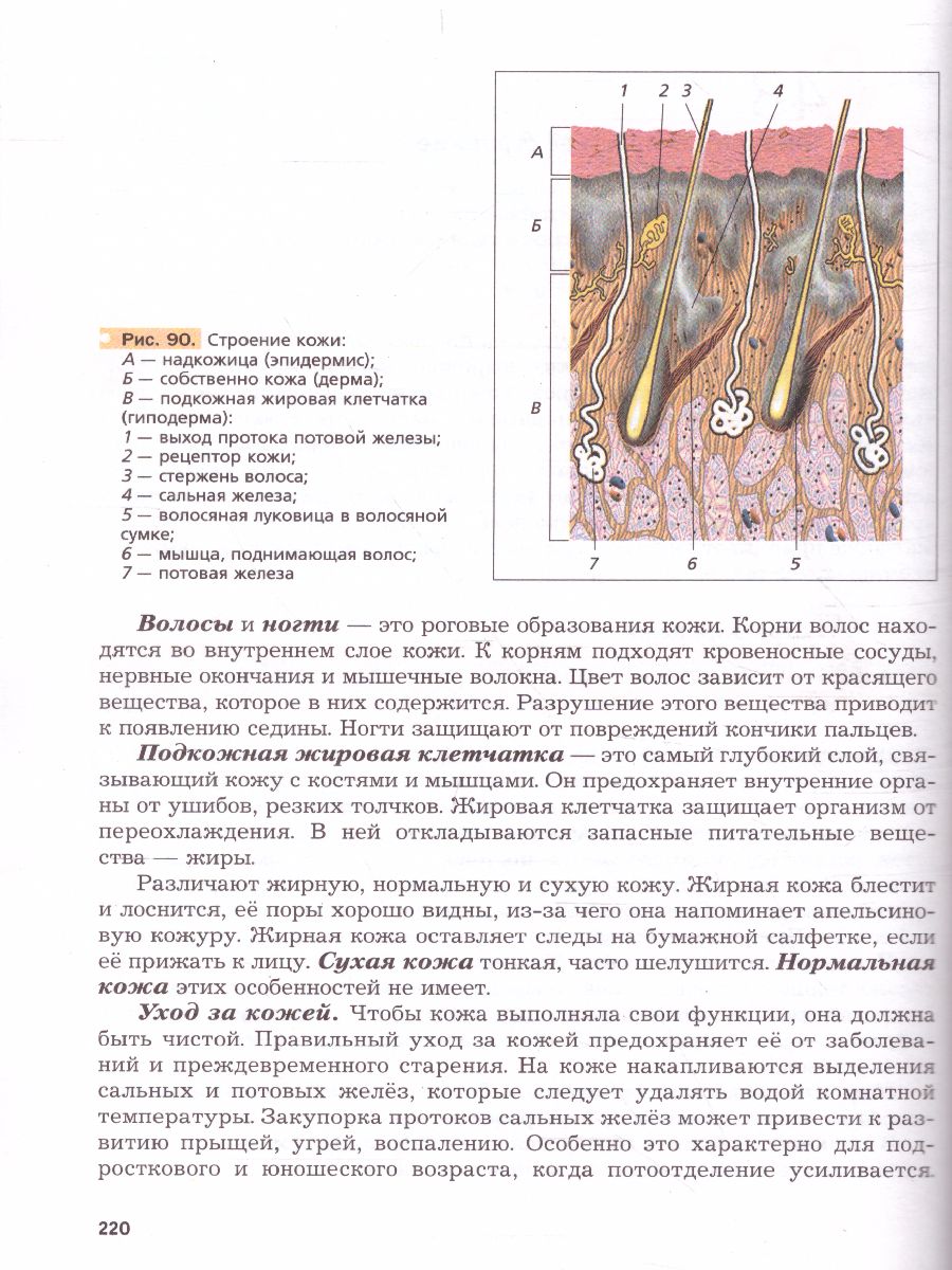Обложка книги Биология 8 класс. Учебник. ФП, Автор Драгомилов Александр Григорьевич; Маш Реми Давидович, издательство Просвещение | купить в книжном магазине Рослит