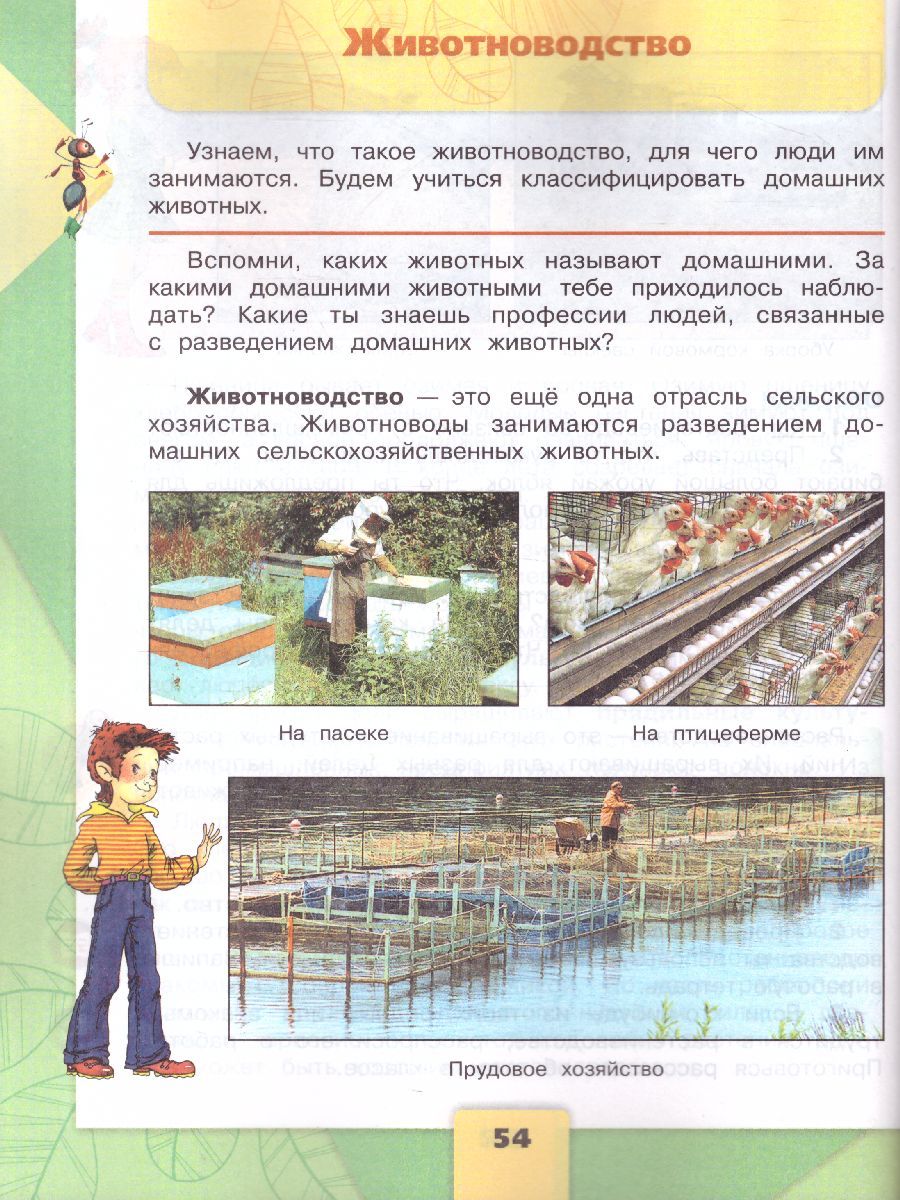 Обложка книги Окружающий мир 3 класс. Учебник в 2-х частях. Часть 2. ФГОС, Автор Плешаков А.А., издательство Просвещение | купить в книжном магазине Рослит