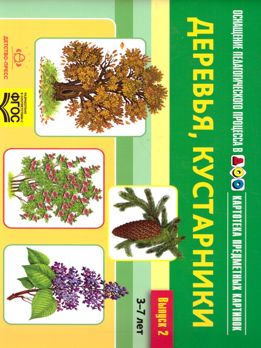 Обложка книги Картотека предметных картинок. Выпуск 2. Деревья, кустарники, грибы, Автор Нищева Н.В., издательство ДЕТСТВО-ПРЕСС | купить в книжном магазине Рослит
