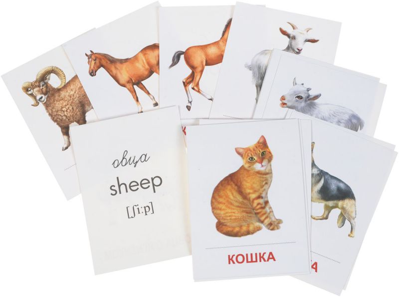 Обложка книги Демонстрационные картинки СУПЕР Домашние животные. 16 раздаточных карточек с текстом 63х87 мм, Автор , издательство Сфера | купить в книжном магазине Рослит