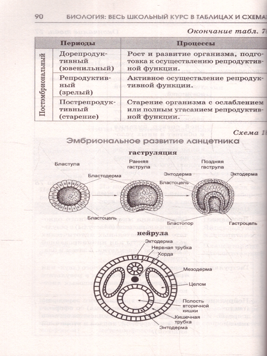 Обложка книги ОГЭ Биология. Полный курс в таблицах и схемах для подготовки, Автор Маталин А. В., издательство АСТ | купить в книжном магазине Рослит