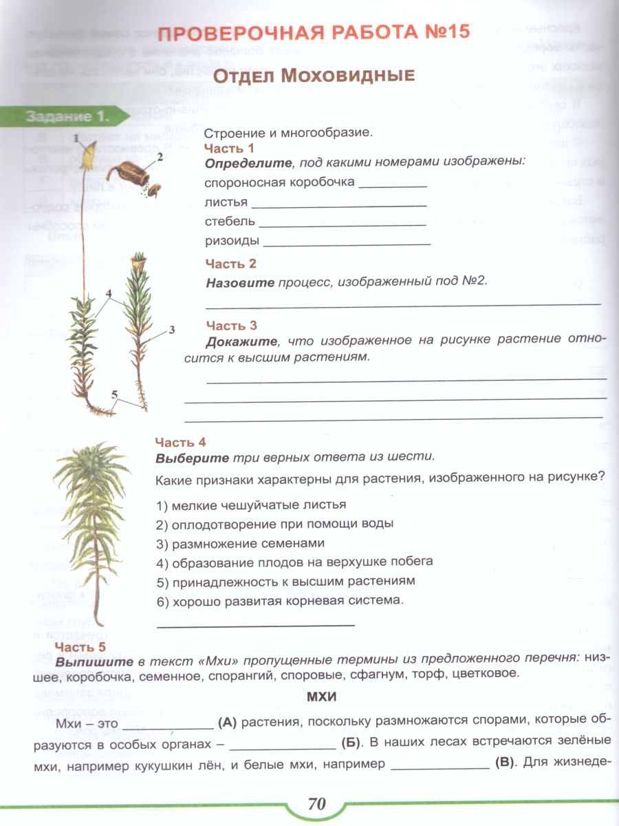 Обложка книги Подготовка к ВПР. Биология 6-7 класс. Растения. Тренажёр. ФГОС, Автор Оданович М.В., издательство Планета | купить в книжном магазине Рослит