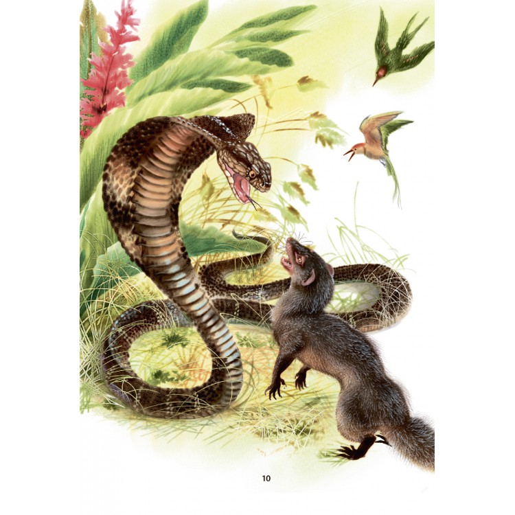 Обложка Любимые сказки. Киплинг Р. Сказки. Развивающая книга, издательство НД Плей                                            | купить в книжном магазине Рослит