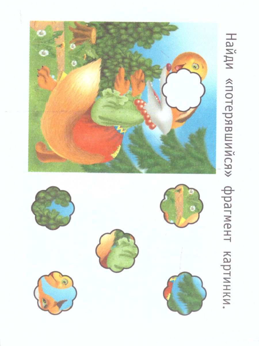 Обложка Мир животных, издательство АСТ | купить в книжном магазине Рослит