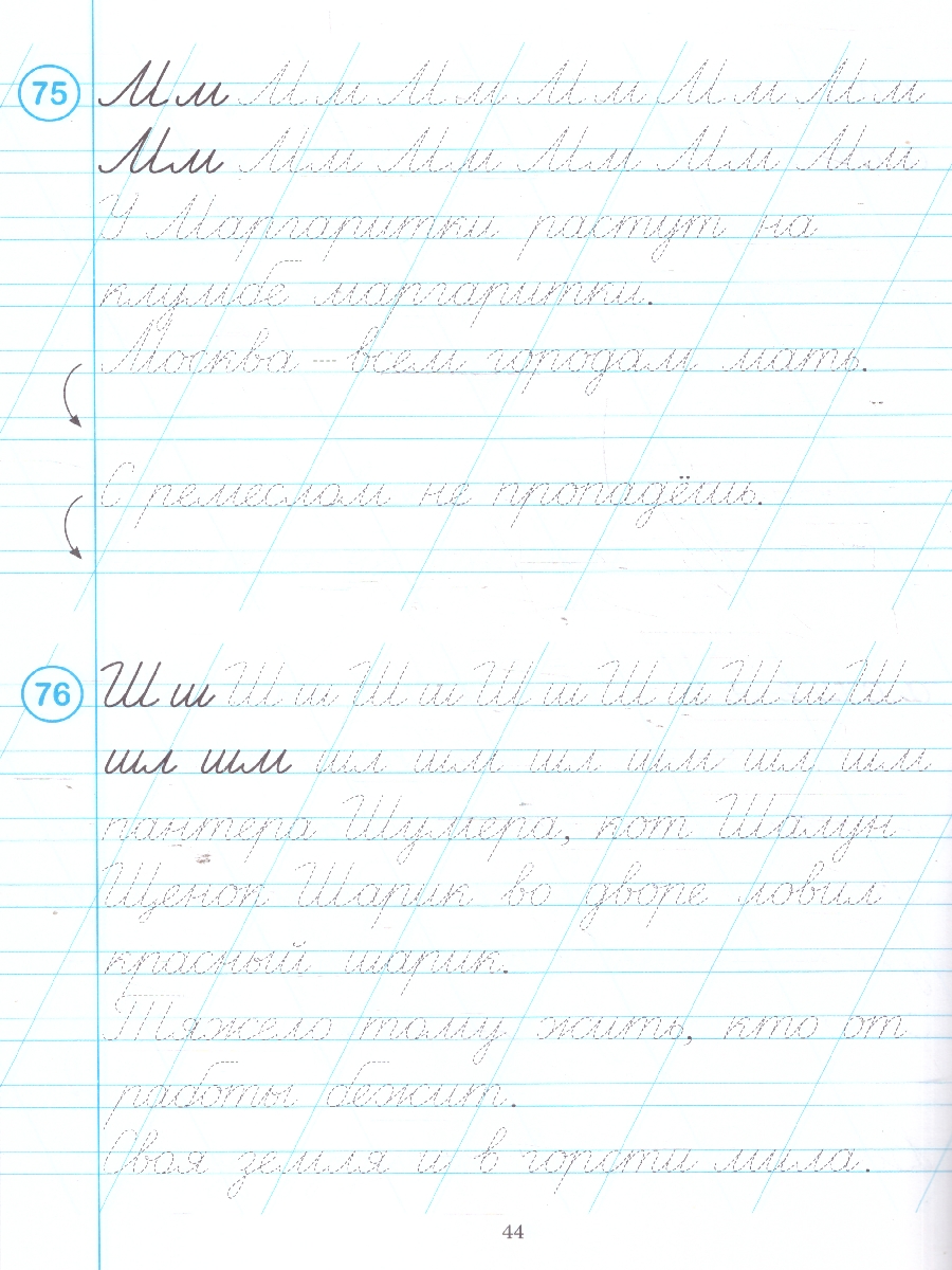 Обложка книги Тренажёр по чистописанию. Русский язык  1 класс. ФГОС, Автор Мурзина М. С., издательство ЛЕГИОН | купить в книжном магазине Рослит