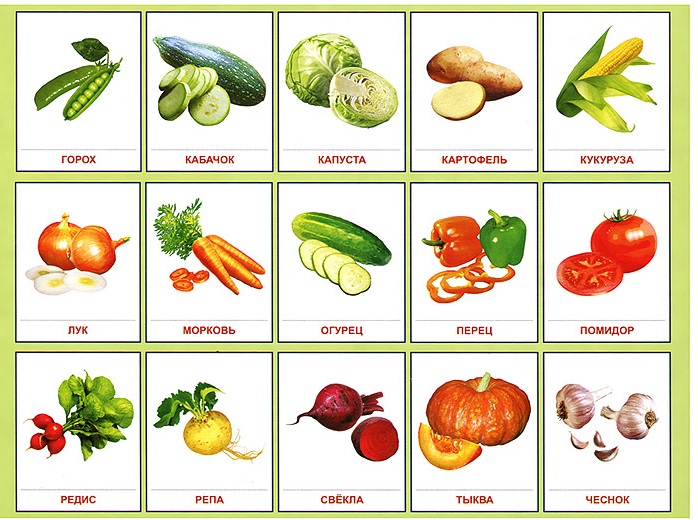 Обложка книги Демонстрационные картинки СУПЕР. Овощи. 16 демонстрационных  картинок с текстом 173х220 мм, Автор , издательство Сфера | купить в книжном магазине Рослит