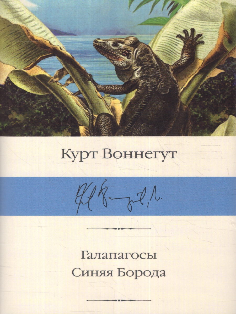 картинка Галапагосы. Синяя Борода от магазина Рослит